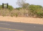 On our way out for our first game drive we had to stop at a REAL zebra crossing. Safety first!